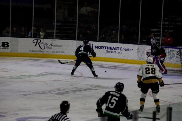 Maine Mariners defenseman Rich Boyd