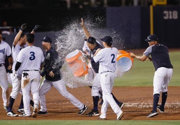 Tampa Tarpons celebrate a win