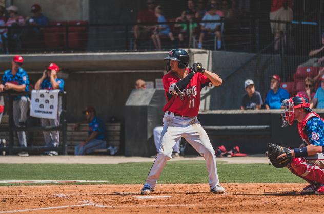 Ryan Aguilar of the Carolina Mudcats