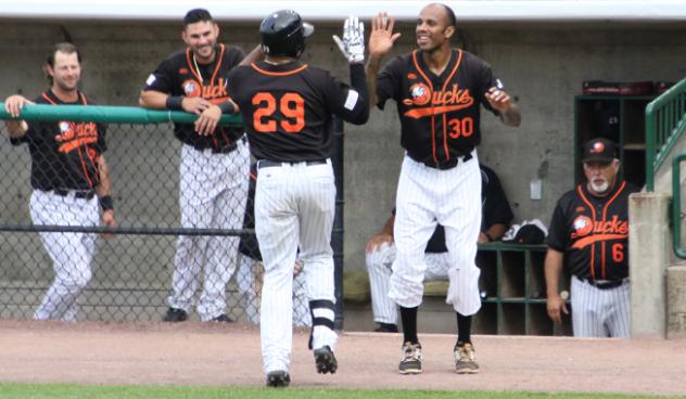 Daniel Fields and David Washington of the Long Island Ducks exchange high fives