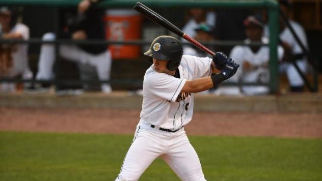 Charleston RiverDogs second baseman Kyle Gray
