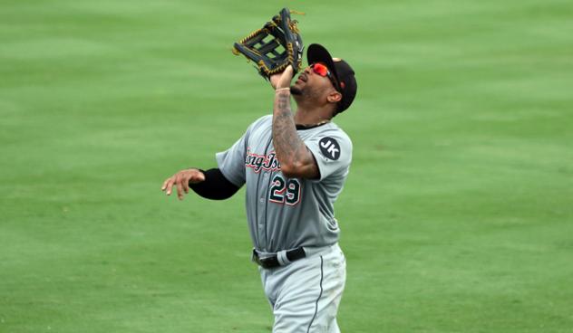 Daniel Fields of the Long Island Ducks