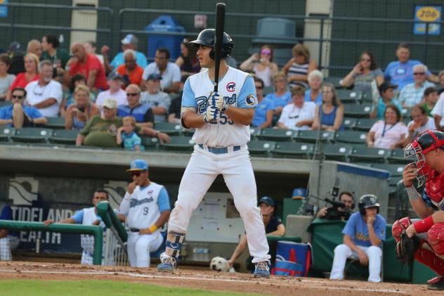 Tyler Durna at bat for the Myrtle Beach Pelicans