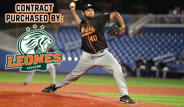 Long Island Ducks pitcher Enrique Burgos