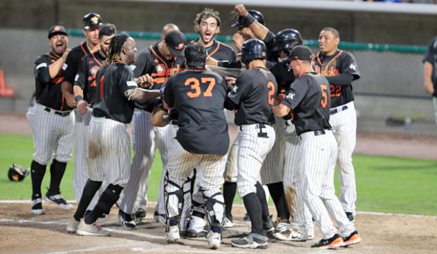 Long Island Ducks celebrate a walk-off win