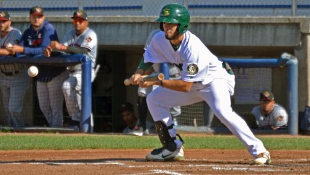 Beloit Snappers lay down a bunt