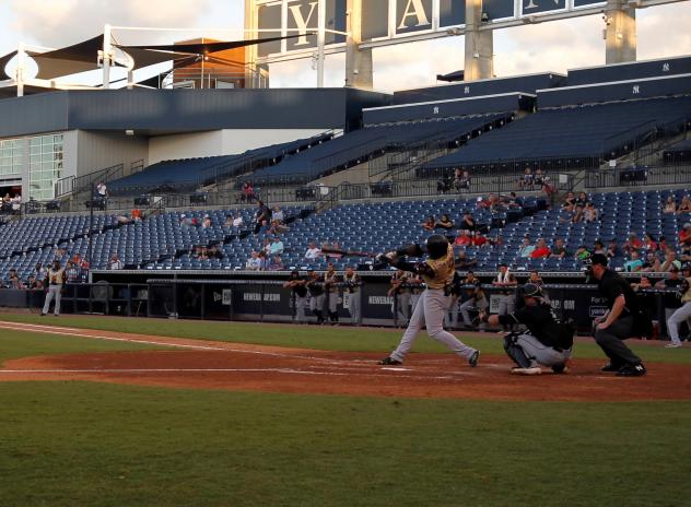 Tampa Tarpons vs. the Jupiter Hammerheads