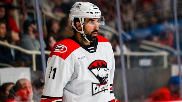 Zack Stortini with the Charlotte Checkers
