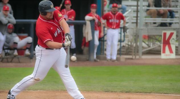 Walla Walla Sweets infielder Brock Ephan