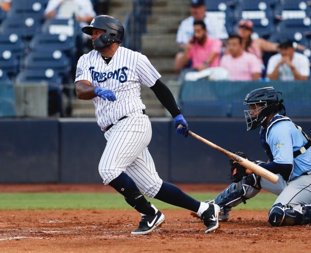 Alexander Palma of the Tampa Tarpons