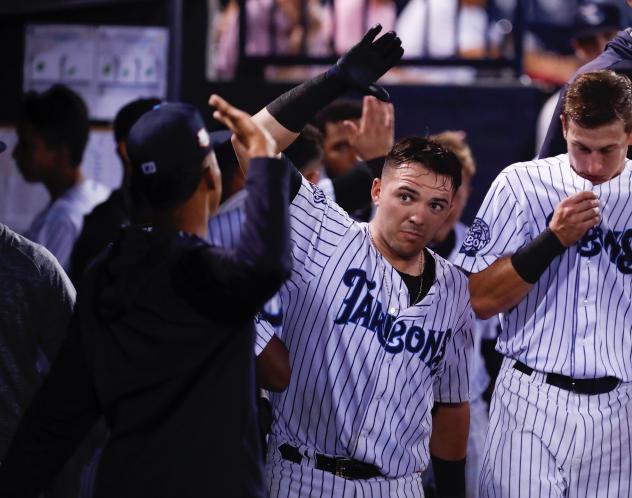 Donny Sands receives congratulations in the Tampa Tarpons dugout
