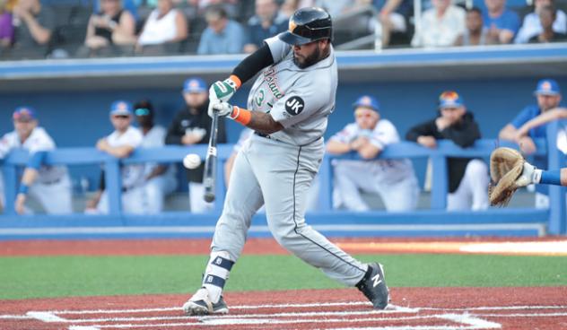 Hector Sanchez of the Long Island Ducks
