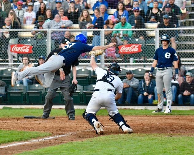 Portland Pickles game action