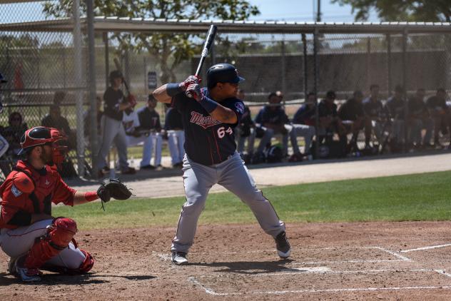 Utility man Willians Astudillo in Minnesota Twins spring training