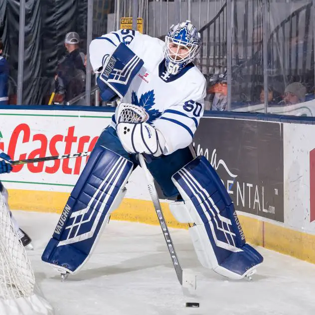 Goaltender Eamon McAdam with the Toronto Marlies