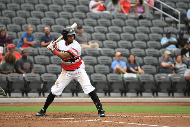 Fayetteville Woodpeckers outfielder Corey Julks