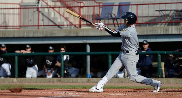 Livan Soto of the Burlington Bees