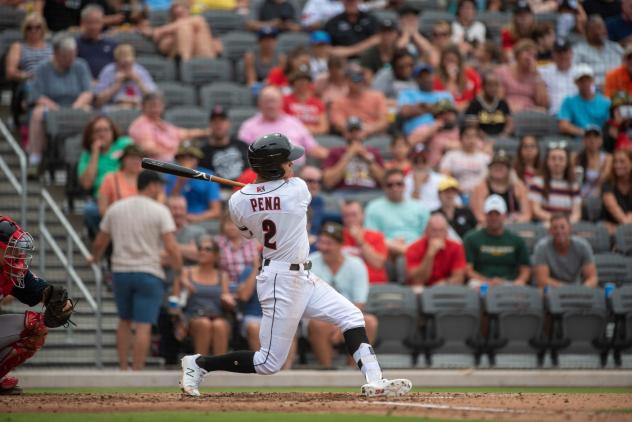Fayetteville Woodpeckers infielder Jeremy Pena