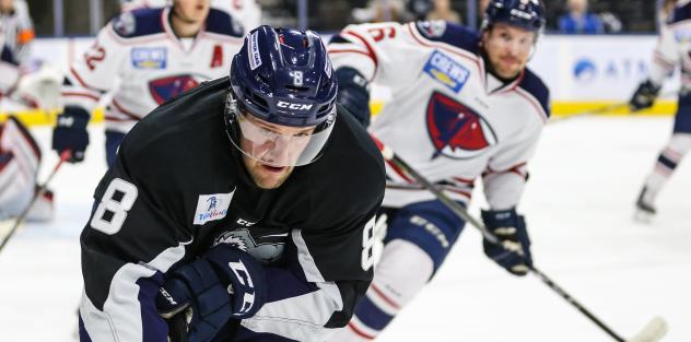 Forward Cam Maclise with the Jacksonville Icemen