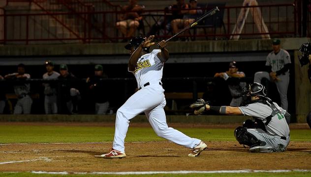 Johan Sala of the Burlington Bees