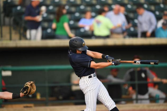 Brandon Lockridge of the Charleston RiverDogs