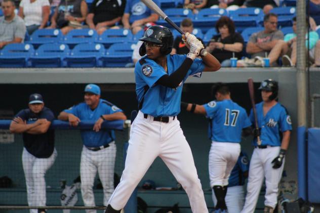 Hudson Valley Renegades await a pitch