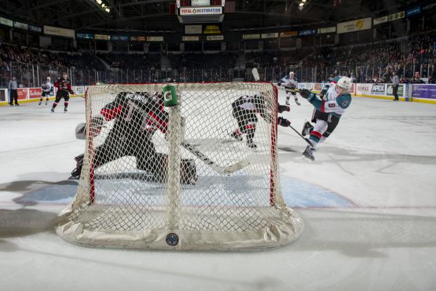 Kelowna Rockets in action