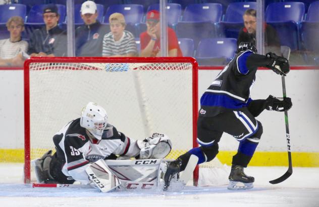 Vancouver Giants goaltender Braedy Euerby faces the Victoria Royals