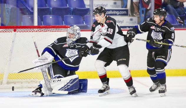 Vancouver Giants centre Evan Patrician in front of the Victoria Royals goal