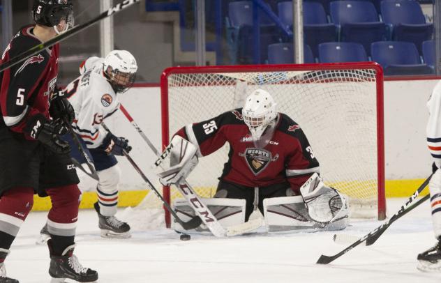 Vancouver Giants goaltender Braedy Euerby vs. the Kamloops Blazers