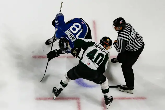 Utah Grizzlies faceoff