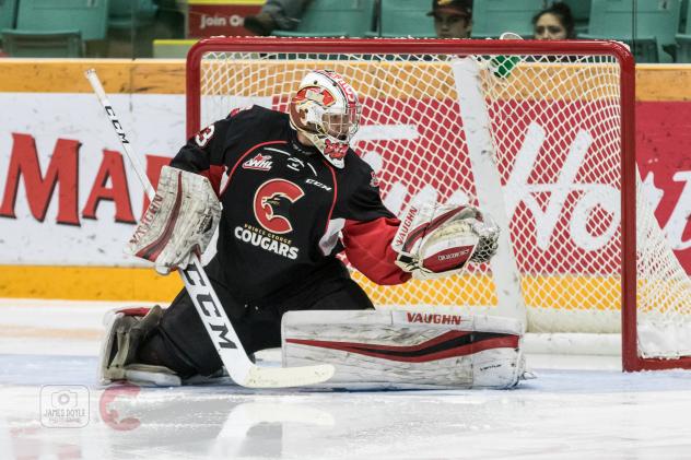 Goaltender Isaiah DiLaura with the Prince George Cougars