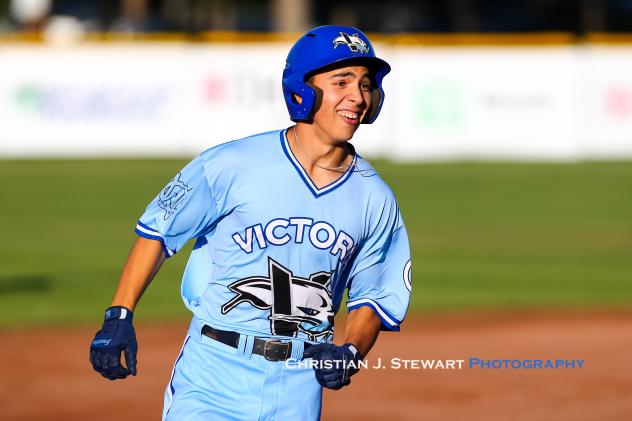 Gus Wilson of the Victoria HarbourCats