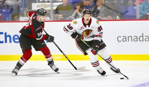 Vancouver Giants centre Evan Patrician vs. the Portland Winterhawks