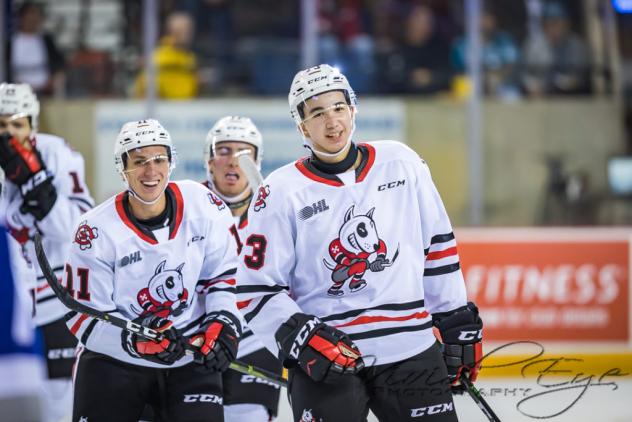 Niagara IceDogs enter the ice