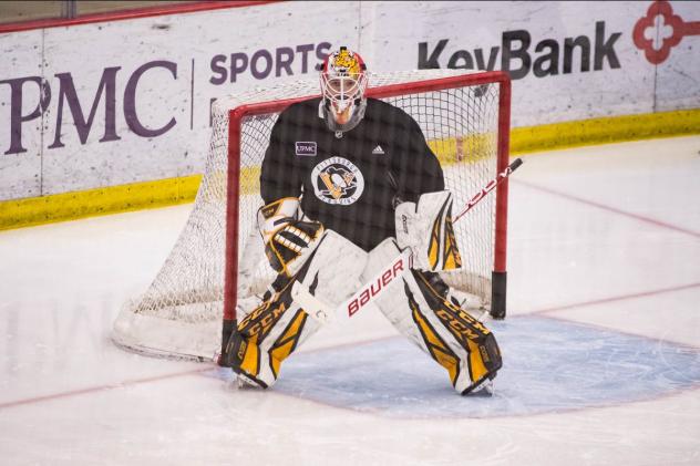 Goaltender Alex D'Orio