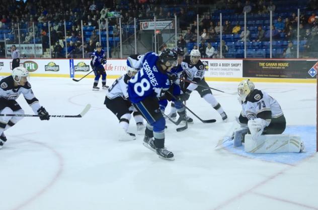 Charlie DesRoches of the Saint John Sea Dogs takes a shot against the Charlottetown Islanders