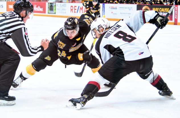 Vancouver Giants forward Tristen Nielsen (right) vs. the Brandon Wheat Kings