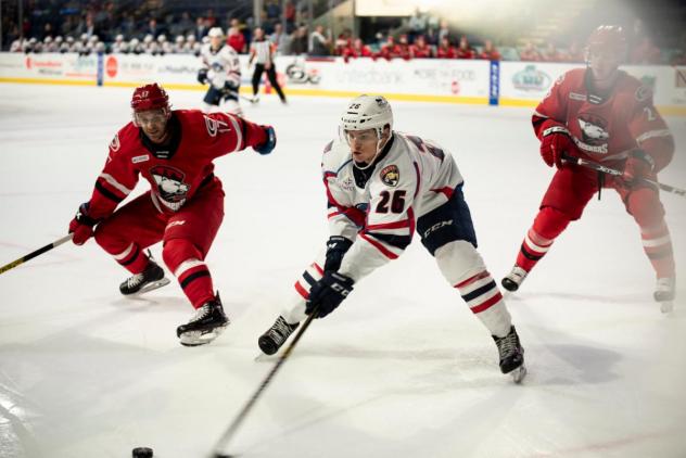 Springfield Thunderbirds battle the Charlotte Checkers