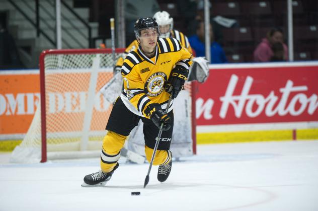 Defenceman Nick Grima with the Sarnia Sting