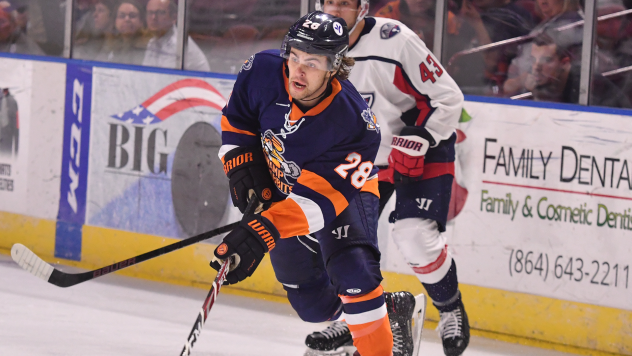 Greenville Swamp Rabbits forward Liam Pecararo