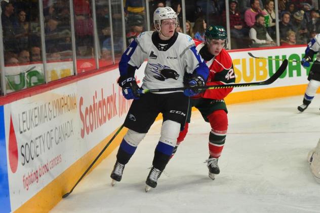 Saint John Sea Dogs defenceman Kale McCallum