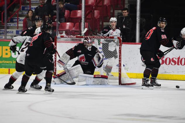 Vancouver Giants face Moose Jaw Warriors goaltender Bailey Brkin
