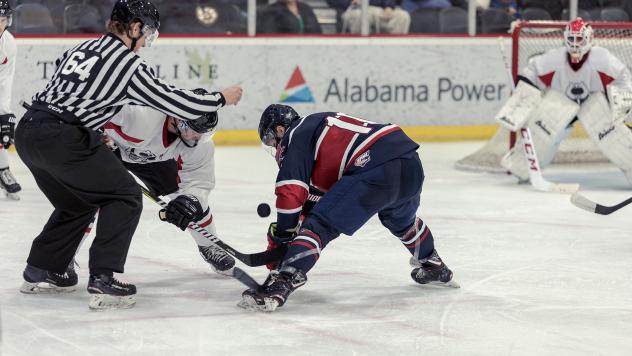 Macon Mayhem take on the Birmingham Bulls