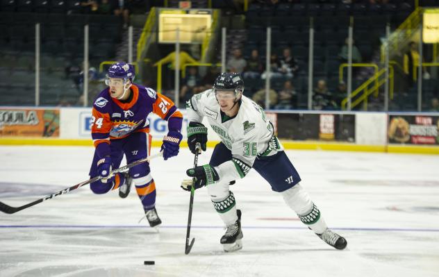 Florida Everblades left wing Tanner Jeannot vs. the Norfolk Admirals