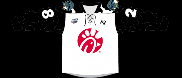 Quad City Storm Chick-Fil-A jersey