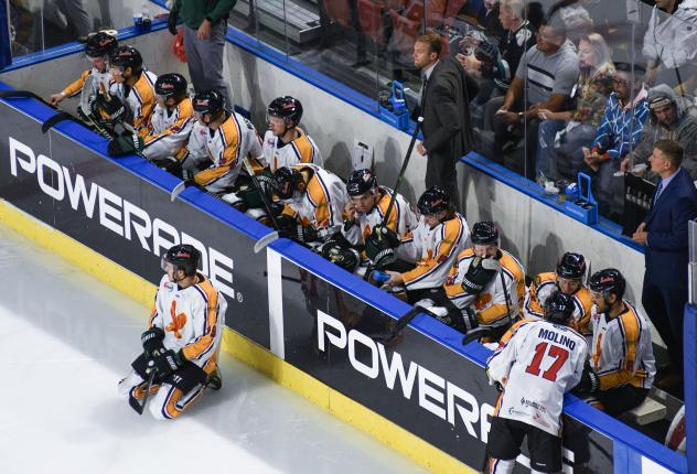 Utah Grizzlies bench