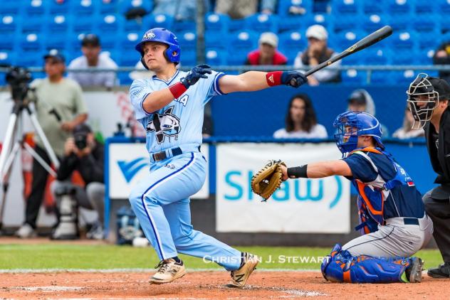 Victoria HarbourCats catcher Tyler Pettit