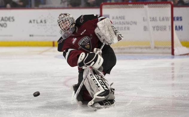 Vancouver Giants goaltender David Tendeck vs. the Victoria Royals