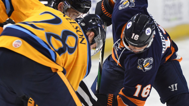 Greenville Swamp Rabbits forward Adam Rockwood (16) faces off with the Atlanta Gladiators